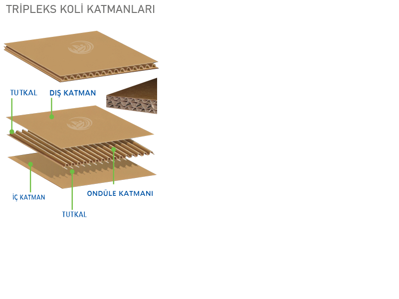 tripleks koli katmanları